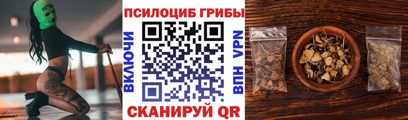 omg зеркало  Истра  Галлюциногенные грибы Psilocybe 